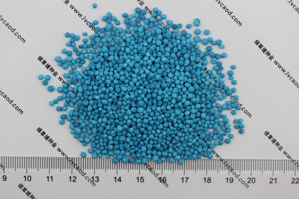 馬蹄金種子 馬蹄金種子