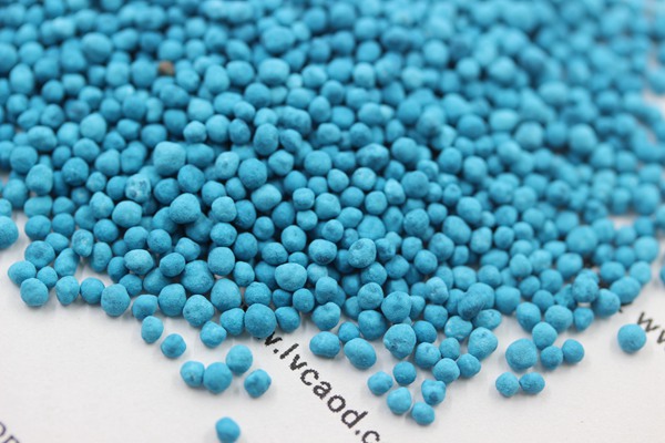 馬蹄金種子 馬蹄金種子