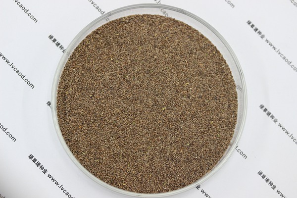 狗牙根種子 狗牙根種子