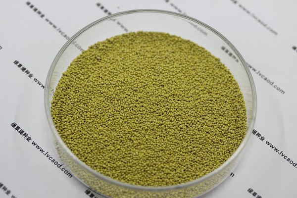 夏威夷草種子 夏威夷草種子