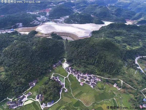 草坪在礦山復(fù)綠工程應(yīng)用 草坪在礦山復(fù)綠工程應(yīng)用