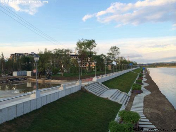 草坪在河岸綠化工程中的應用 草坪在河岸綠化工程中的應用