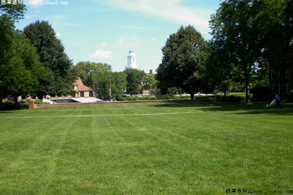 草坪在園林景觀設(shè)計中的應(yīng)用 草坪在園林景觀設(shè)計中的應(yīng)用