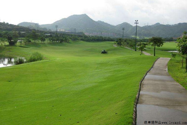 草坪在園林景觀設(shè)計中的應(yīng)用 草坪在園林景觀設(shè)計中的應(yīng)用