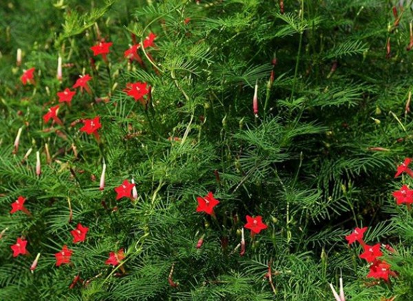 1577180965150901.jpg 1_副本.jpg