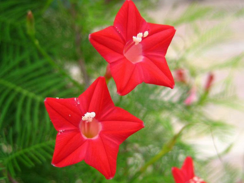 1591533220770742.jpg 3 (2).jpg