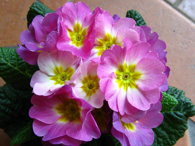 1598188279367203.jpg 6.jpg