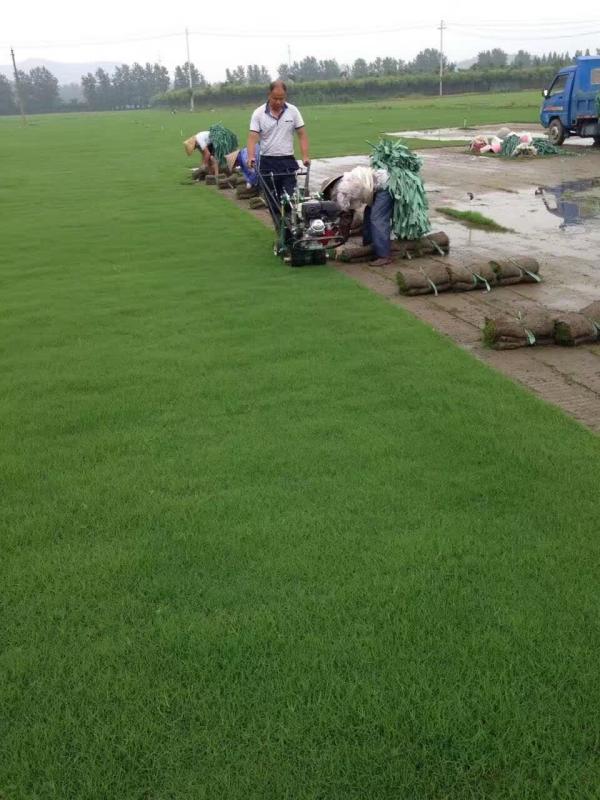 1561968072378293.jpg img_0902.jpg