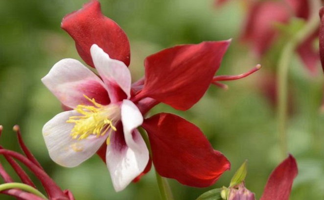 1630568757109927.jpg image.jpg