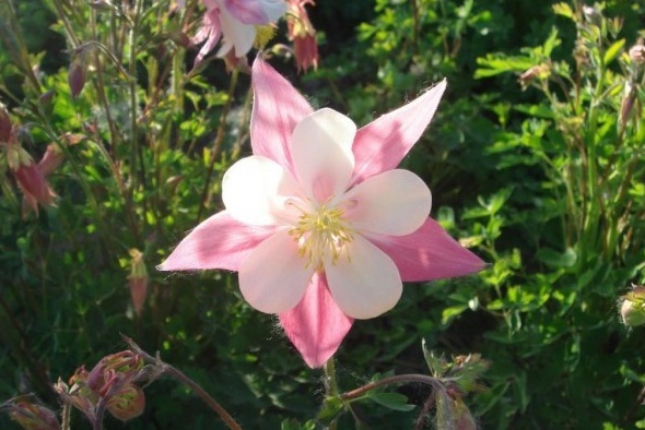 1630655511409254.jpg image.jpg