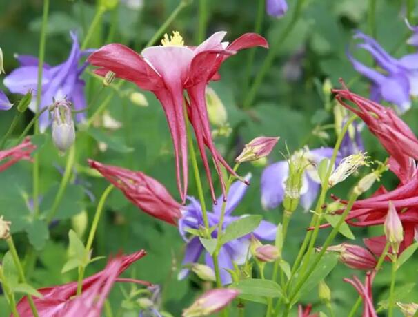 1651053205967124.jpg 5+.jpg