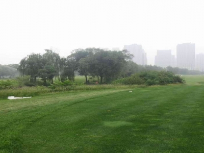 高羊茅種子播種時間是幾月？