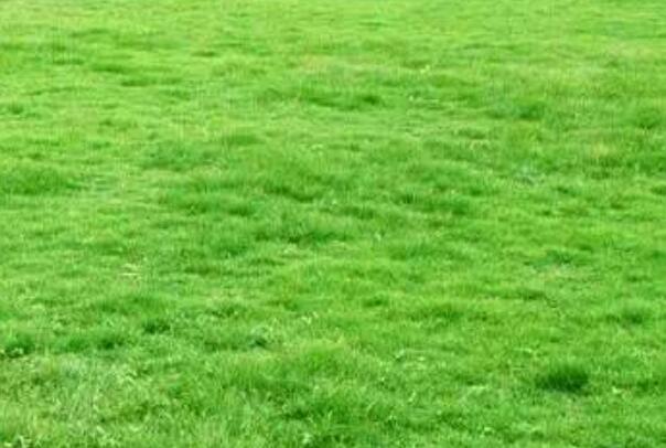 1659311885518946.jpg QQ截圖20220801075822.jpg