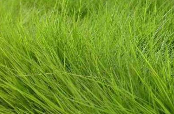 1659311900954356.jpg QQ截圖20220801075802.jpg