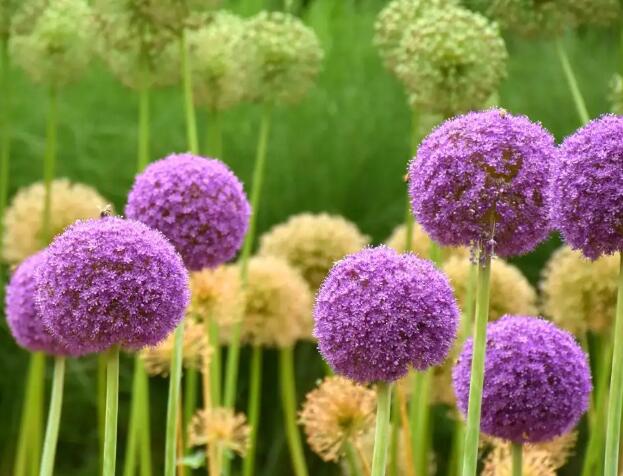 1661787411615810.jpg 5+.jpg