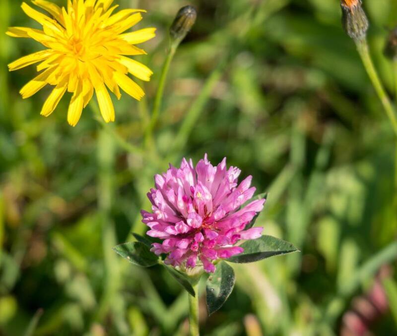 1669637626784523.jpg 4.jpg