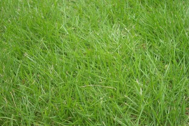 1669895725176368.jpg 0...jpg