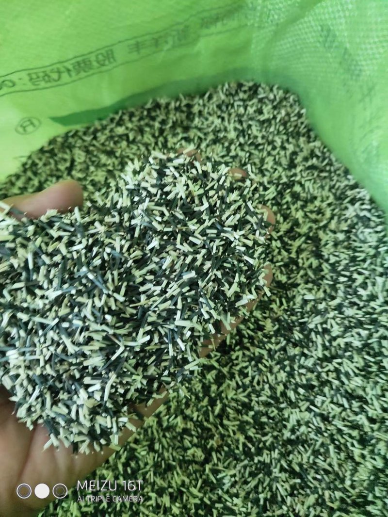 萬(wàn)壽菊種子